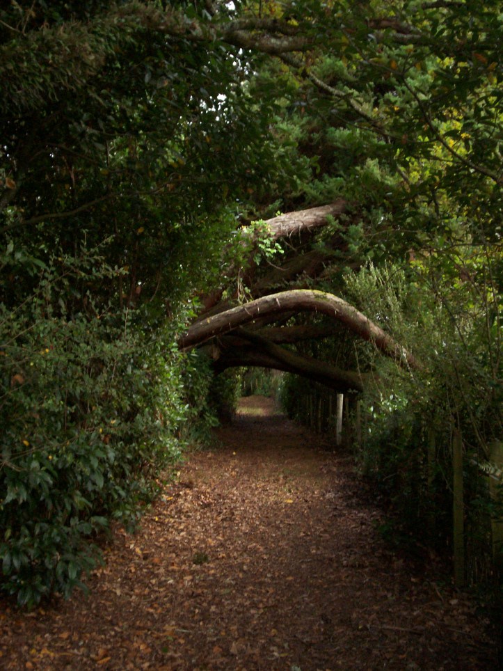 Day 4: Eketahuna Cliff Walk