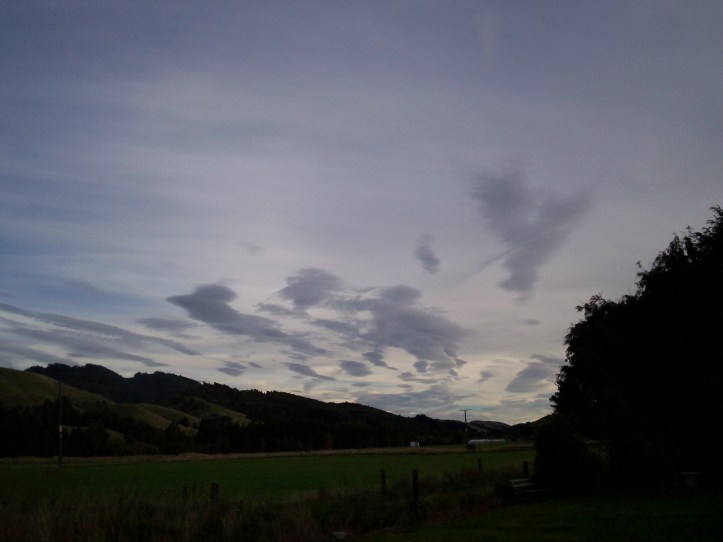 Day 15 - New Pacific Studio