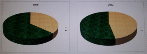 poetry & gender pies